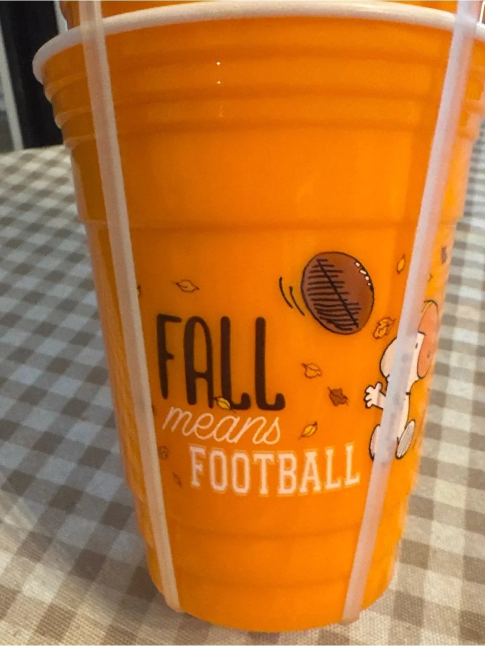 Orange Seasonal Plastic Cups - Fall Football Design (Set)
